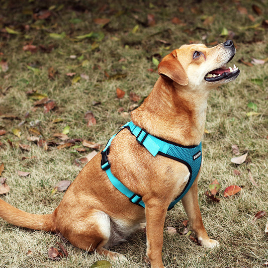 Pet Chest Harness Mesh I-shaped Reflective And Breathable