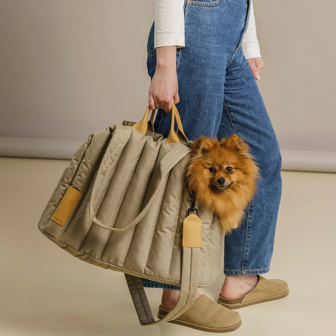 Carrier Light Waterproof Dog Out Portable Handbag Fashion Accessories