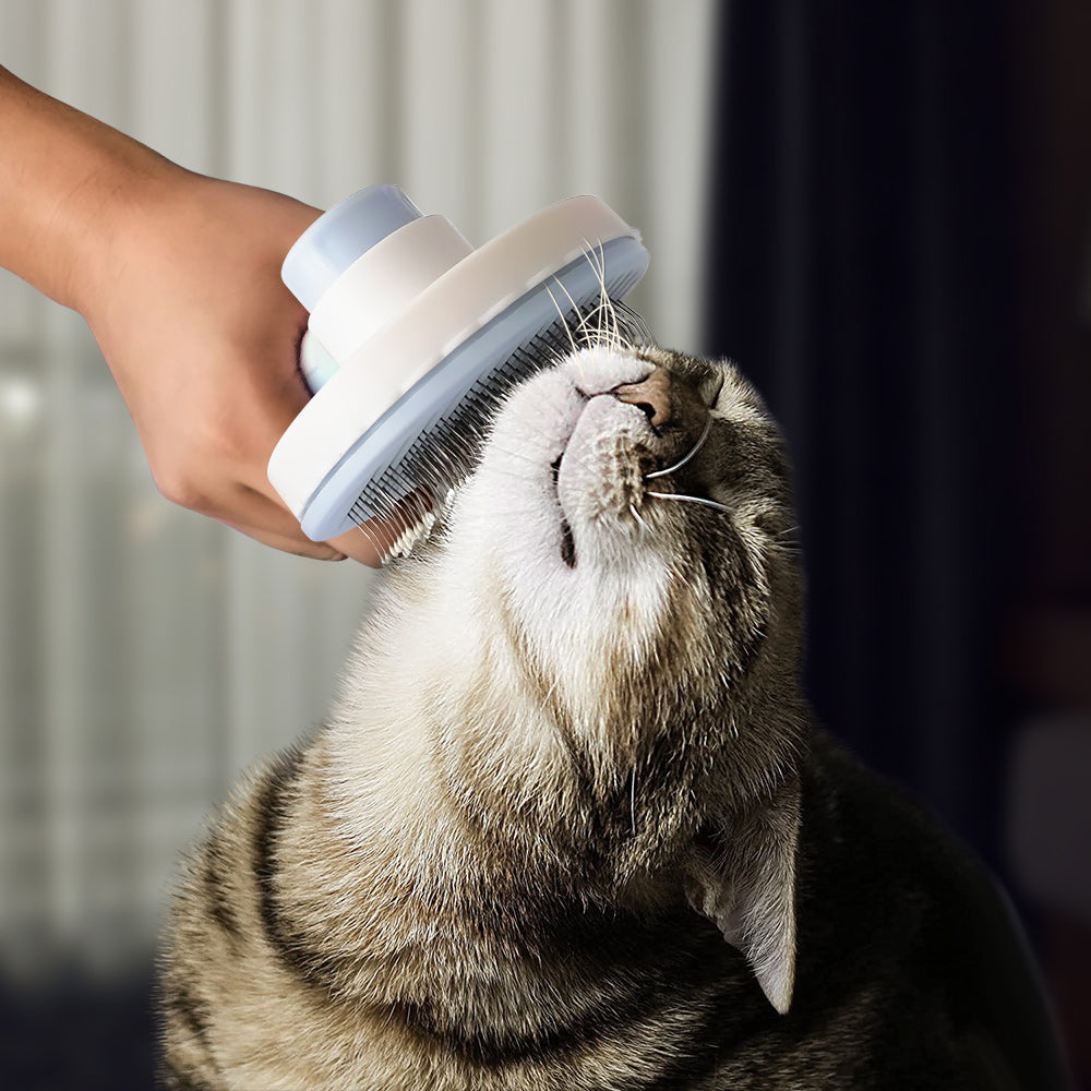 Hair Remover Brush For Cats & Dogs